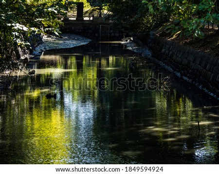 Shutterstock Puzzlepix