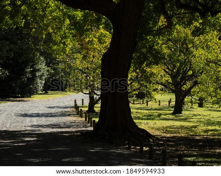 Shutterstock Puzzlepix