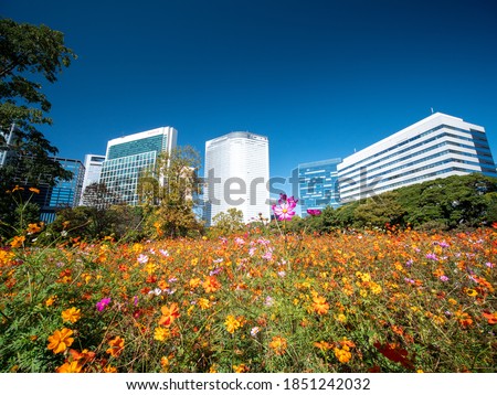 Shutterstock Puzzlepix