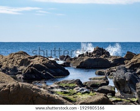 Shutterstock Puzzlepix