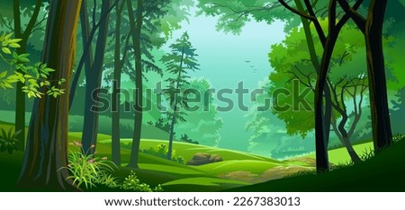Deep green forest with lush pants, grass and trees.