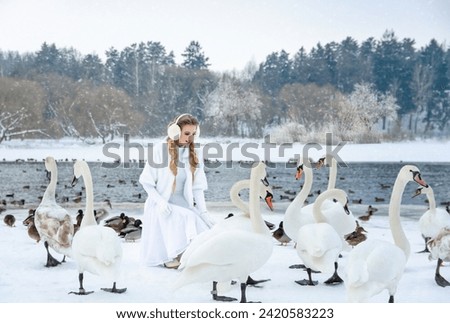 Similar – Foto Bild Junge Frau füttert Schwäne, am Ufer.