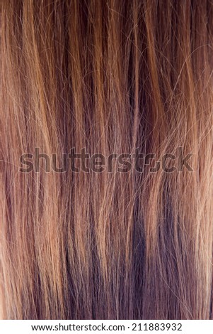 Background texture of hair