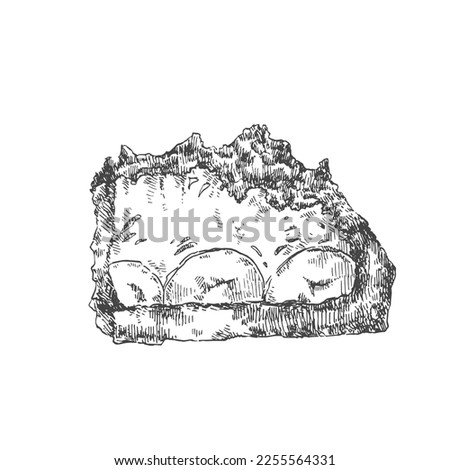 Hand drawn vector maulwurftorte illustration. German traditional mole cake with chocolate crumb filled with cream, strawberry and bananas. Design sweet template for menu, ad, label