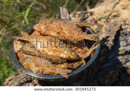 Lot of small fried fish in breadcrumbs on iron dish closeup. Summer picnic.