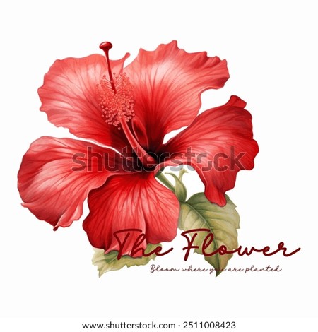 Vibrant red hibiscus flower with green leaves and inspiring quote. design for botanical art, nature lovers, and floral designs. red, flower, typography, inspirational quote, hibiscus.