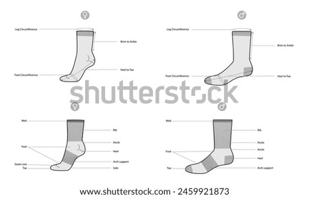 Diagrams of sock parts and measurements with text names. Hosiery Fashion accessory clothing technical illustration stocking. Vector side view for Men, women, unisex style, flat template mockup sketch