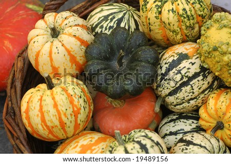 A display of colorful pumpkins at the marketplace