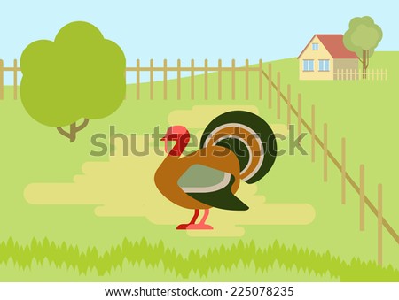 Turkey on the farm courtyard flat design cartoon vector wild animals birds. Flat zoo nature children collection.