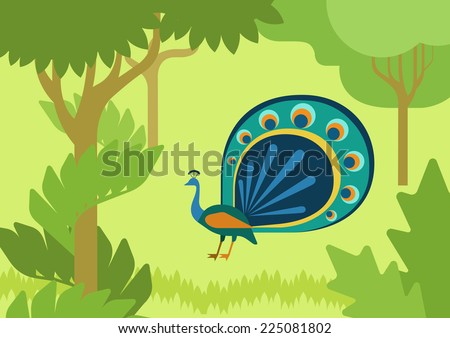 Peacock with flowing tail in forest habitat flat design cartoon vector wild animals birds. Flat zoo nature children collection.