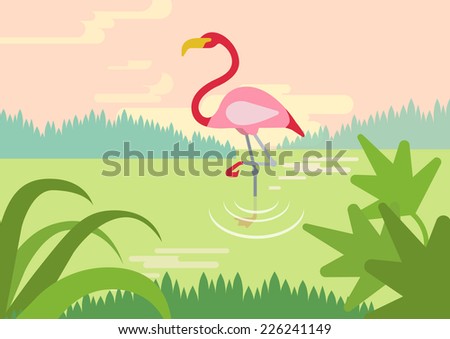 Flamingo in swamp river lake habitat flat design cartoon vector wild animals birds. Flat zoo nature children collection.