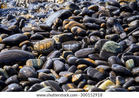 Sea pebble colorful black wet background, shallow depth of field