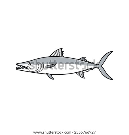 Flat vector illustration of a barracuda with sleek silver body, sharp teeth, streamlined shape, minimalistic design, modern aesthetic