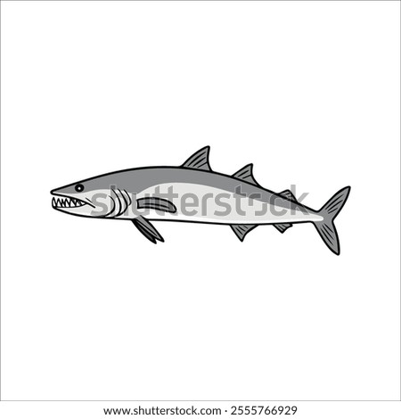 Flat vector illustration of a barracuda with sleek silver body, sharp teeth, streamlined shape, minimalistic design, modern aesthetic