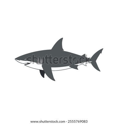 Flat illustration of a shark with long streamlined body, sharp fins, curved shape, minimalistic design, clean background