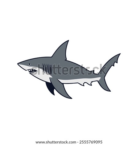 Flat illustration of a shark with long streamlined body, sharp fins, curved shape, minimalistic design, clean background