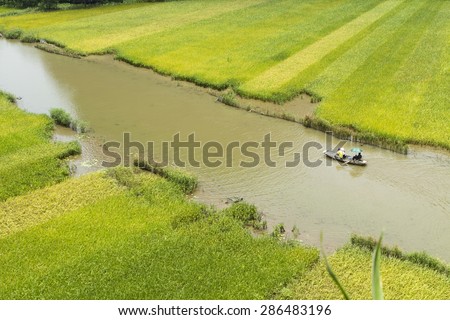 Ninh Binh, Viet Nam - May 17, 2015: Rice field and river \