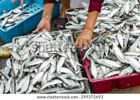 Basket of fish at Vietnam beach, fisherman\'s catch.