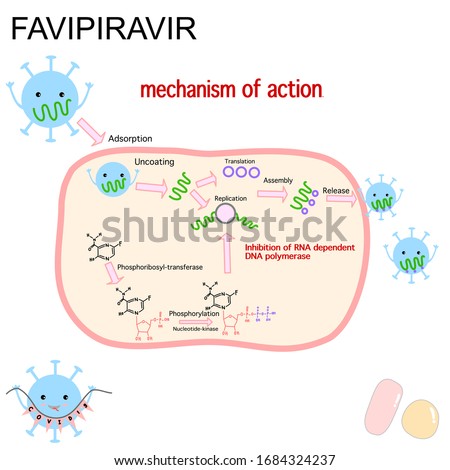 Favipiravir,The mechanism of action of favipiravir is novel compared to existing influenza antivirals that primarily prevent entry and exit of the virus from cells.