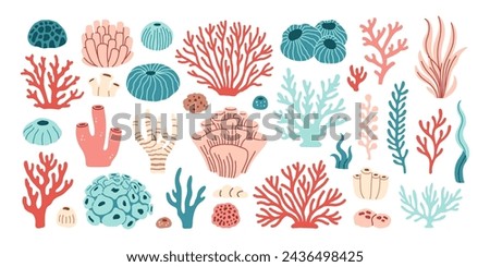 Coral set. Ocean plants, underwater flora, seaweed. Aquatic plant, algae, tropical seabed elements vector set