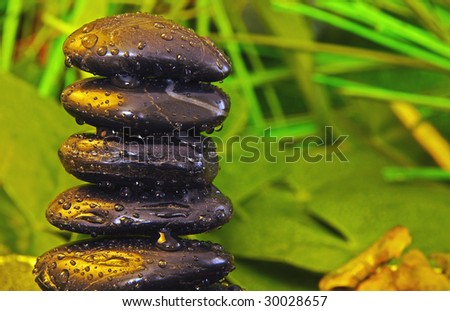 black zen stones in jungle with water drops