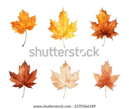 autumn leaves watercolor set, set of autumn maple leaves