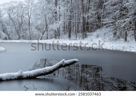 Similar – Image, Stock Photo Fallen tree in pond, forest, winter