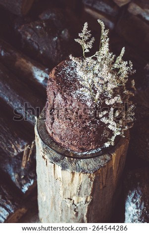 Homemade Chocolate Cake with Coconut Flakes and Dried Flower Decoration on a Log. Cut Wood Background. Moody Atmosphere