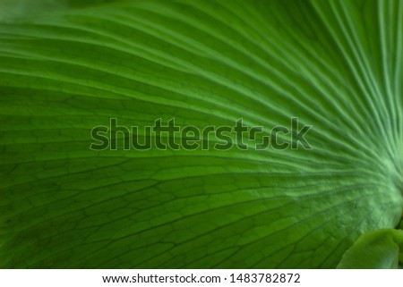 Shutterstock Puzzlepix