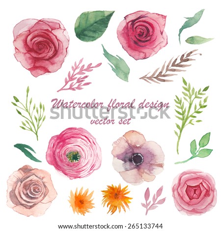 Watercolor herbs, ranunculus, anemone, roses elements set. Vintage leaves, flowers and branches. Vector hand drawn design illustration