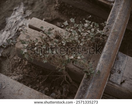 Similar – Image, Stock Photo Railroad tracks with branches