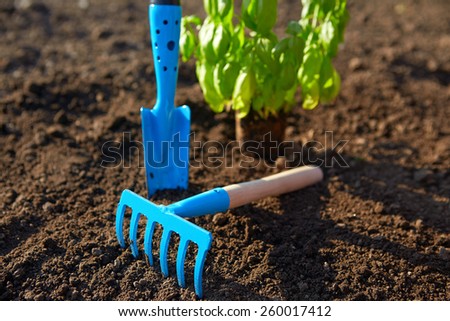 Blue garden tools during the spring planting