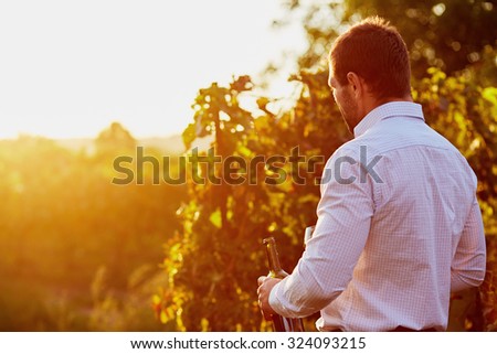 Man with a bottle of red wine in hand, at sunset in the vineyard. Toned