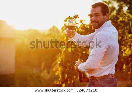 Man with a glass of red wine in hand, at sunset in the vineyard. Toned