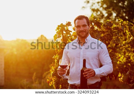 Man with a glass of red wine in hand, at sunset in the vineyard. Toned