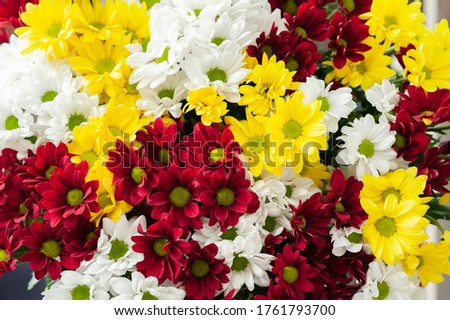 Similar – Image, Stock Photo Yellow chrysanthemum bouquet on yellow background. Copy space