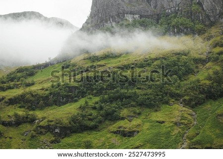 Similar – Foto Bild Herbstnebel liegt über dem Bodensee