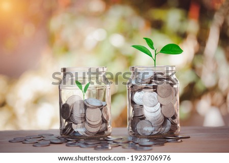 Plants are growing in jars with coins concept to save money. How to save, education, home, loan and investment.