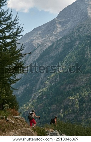 Similar – Image, Stock Photo Two mountaineers climb a summit with a summit cross in heavy snowfall. There is no room at the summit cross.