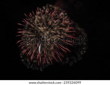 the fireworks celebrate lighting the night sky