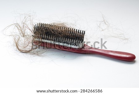 Hair on a red brush on a white background.