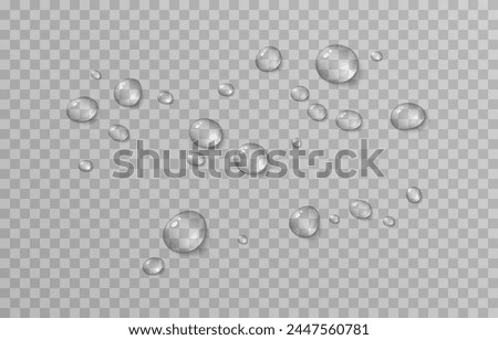 Vector drops png. Drops after rain, drops of dew. Condensation on the surface or glass.