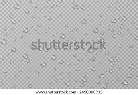 Vector drops png. Drops after rain, drops of dew. Condensation on the surface or glass.