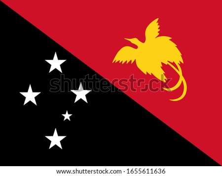 Official national Papua New Guinea flag Vector