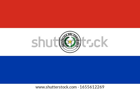 Official national Paraguay flag Vector