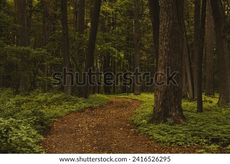 Similar – Image, Stock Photo Path through the green in spring