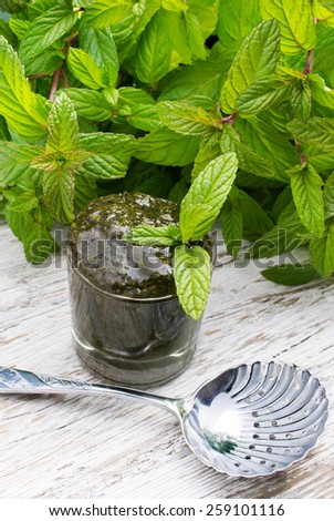 Mint plant with mint sauce and a sauce spoon