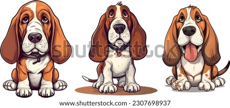 Set of basset hound dog, vector illustration.