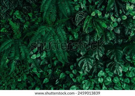 Similar – Image, Stock Photo Bright green leaf texture.