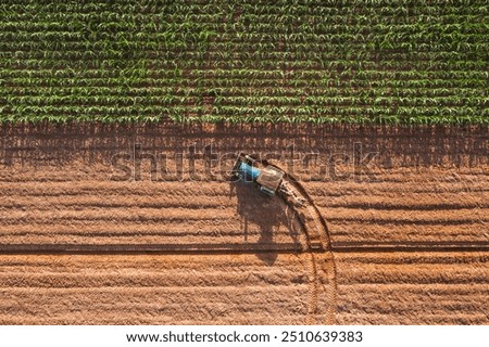 Similar – Image, Stock Photo Top view at green trees of a forest in summer.